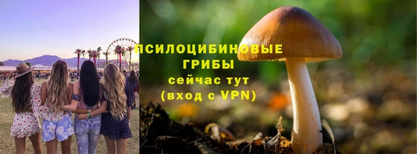 синтетический гашиш Гусиноозёрск