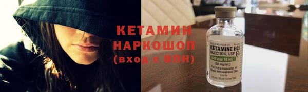 дживик Гусь-Хрустальный