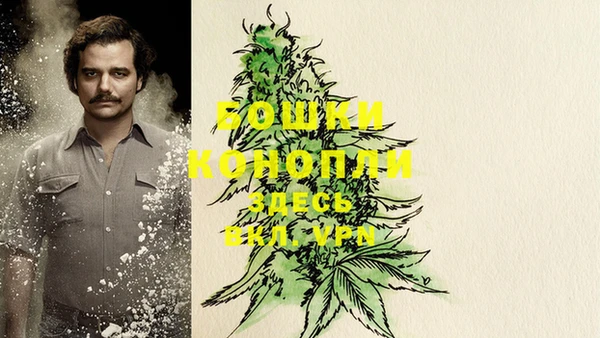 дживик Гусь-Хрустальный