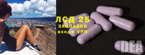 мяу мяу мука Гусев